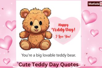 teddy day quotes