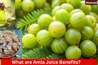 Amla Juice Benefits