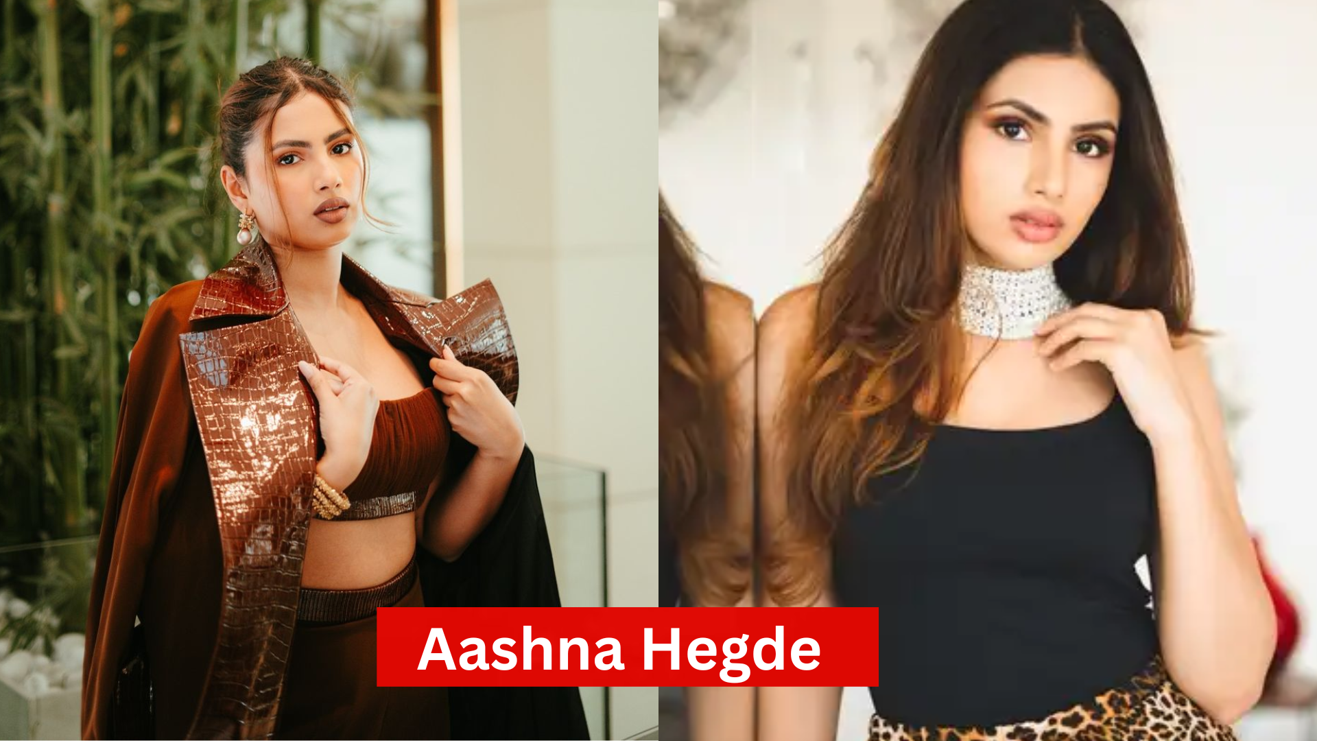 Aashna Hegde