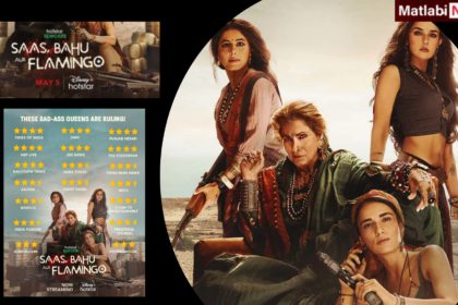 Saas Bahu aur Flamingo
