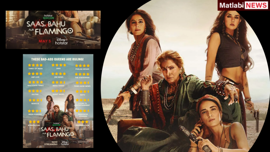 Saas Bahu aur Flamingo