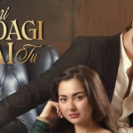 Meri Zindagi Hai Tu Pakistani Drama