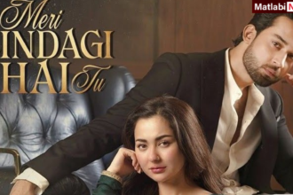 Meri Zindagi Hai Tu Pakistani Drama