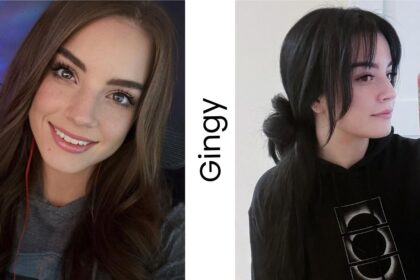 Gingy