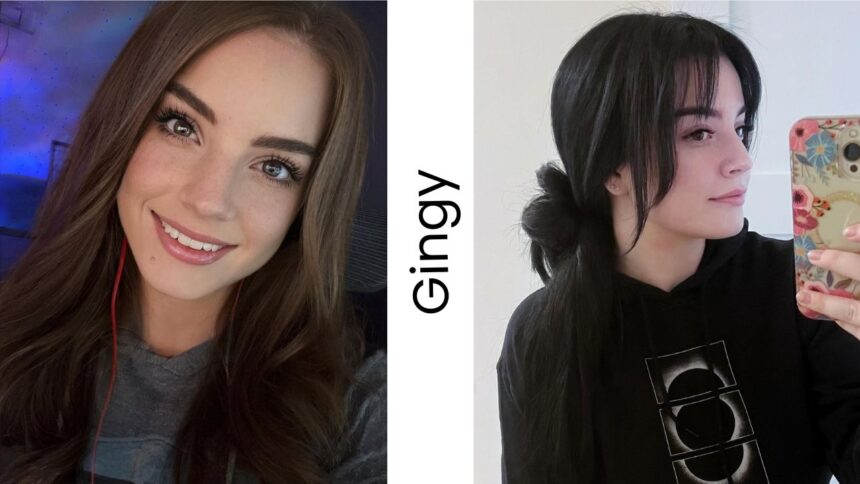 Gingy