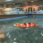 Hotel Getaways